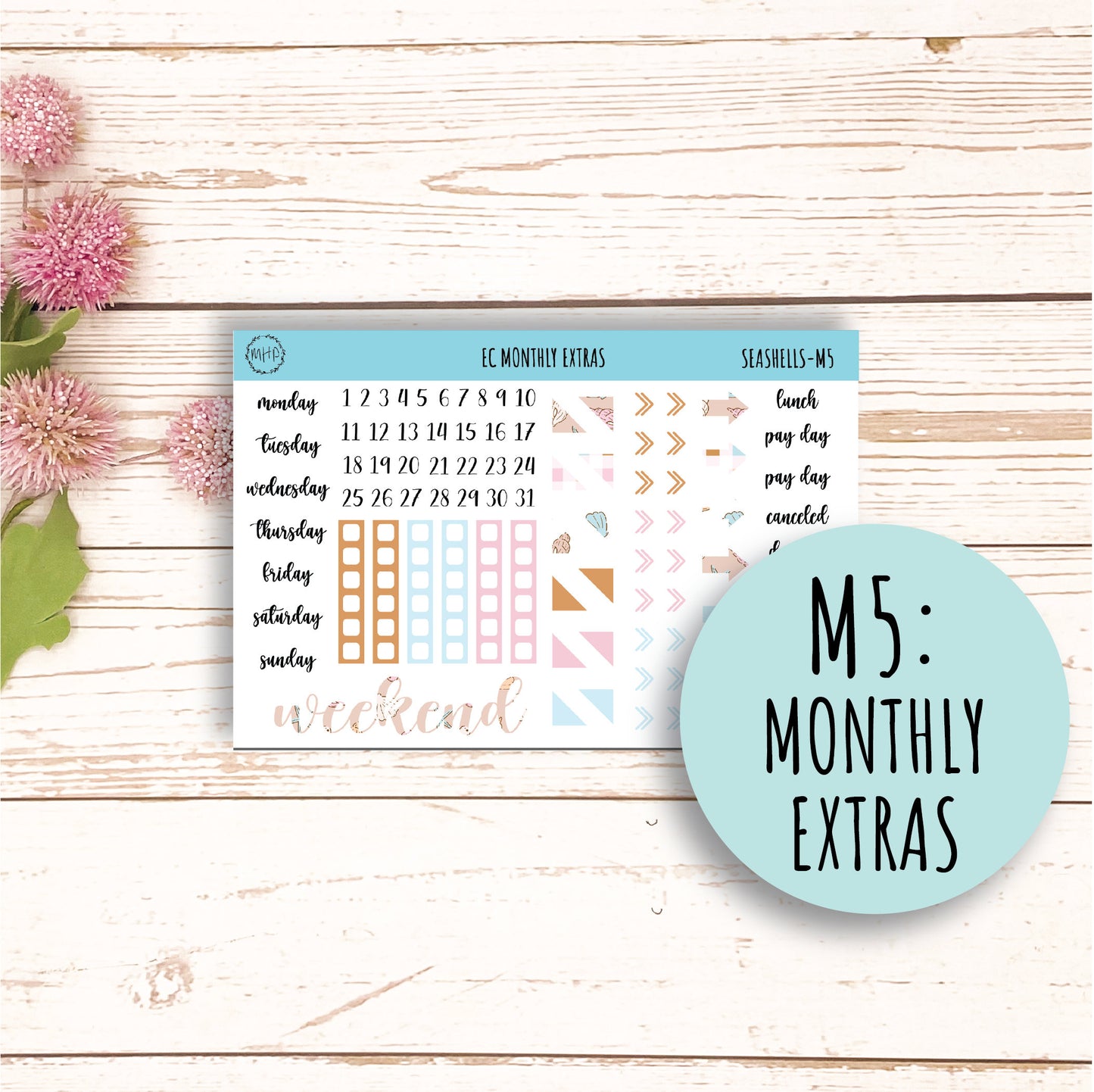 AUGUST Monthly Kit Stickers for 7x9 Erin Condren Planners. "SEASHELLS" || SSH-M