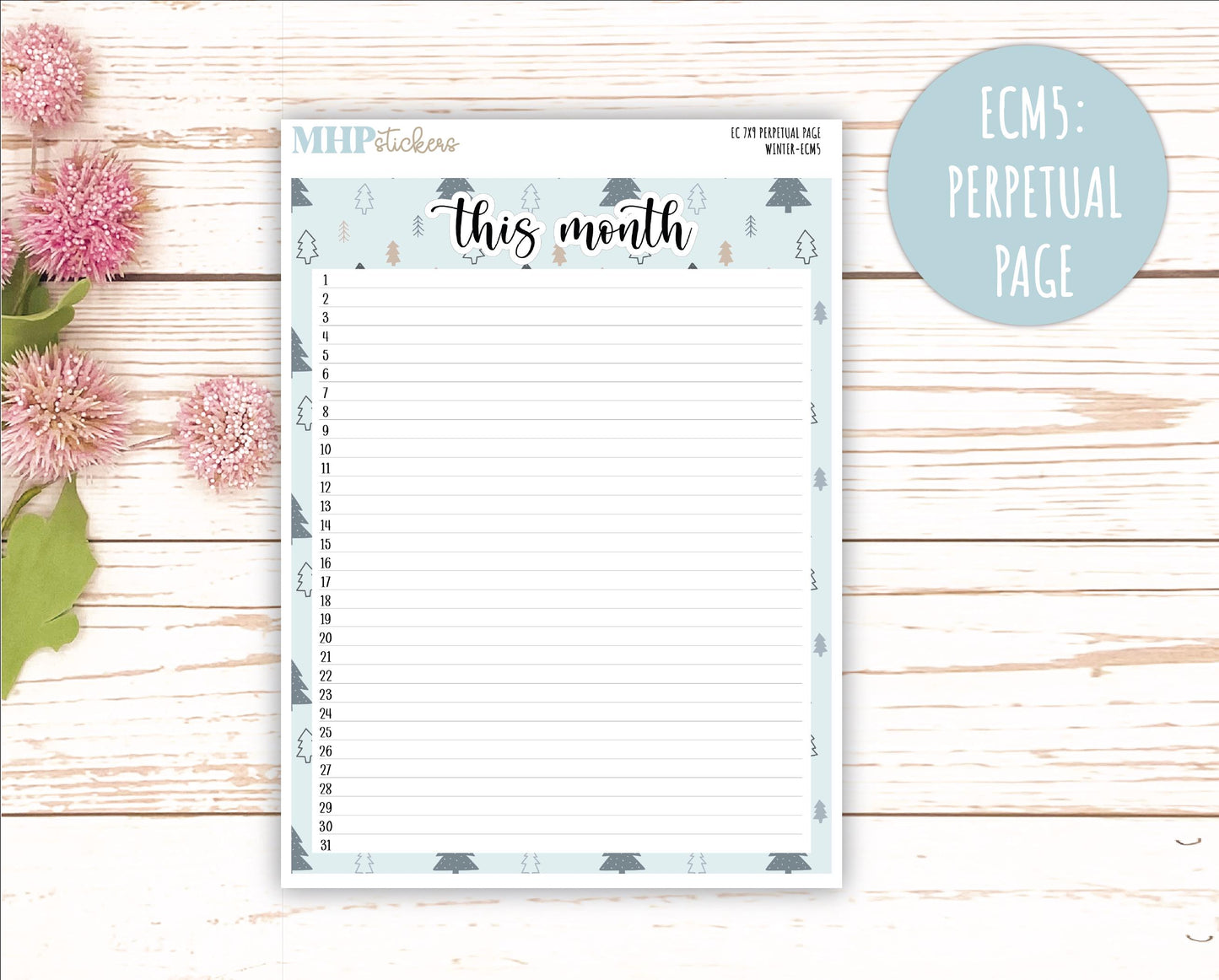 JANUARY 2025 Monthly Kit Stickers for 7x9 Erin Condren Planners. "Winter" || ECMW