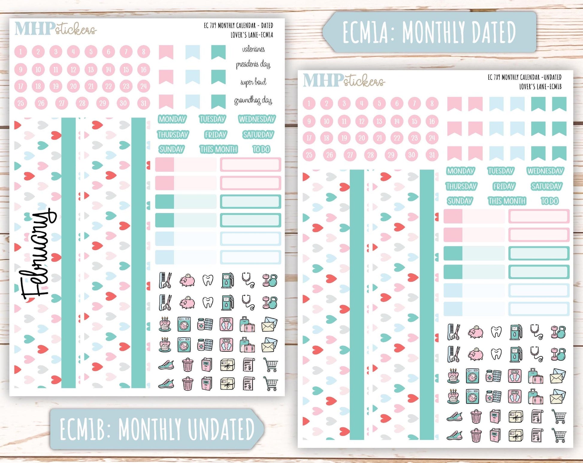 FEBRUARY 2025 Monthly Kit Stickers for 7x9 Erin Condren Planners. "Lover's Lane" || ECMLL