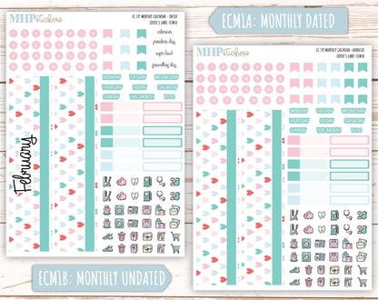 FEBRUARY 2025 Monthly Kit Stickers for 7x9 Erin Condren Planners. "Lover's Lane" || ECMLL