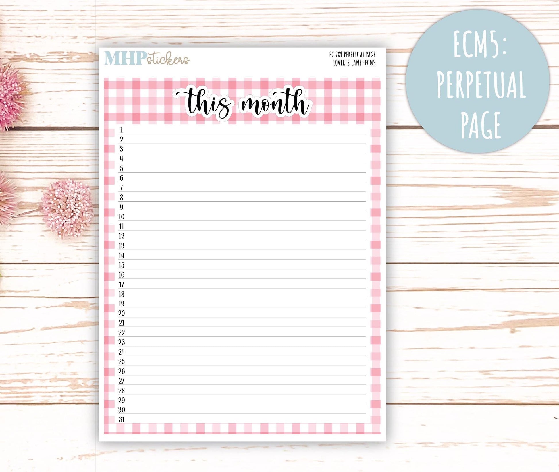 FEBRUARY 2025 Monthly Kit Stickers for 7x9 Erin Condren Planners. "Lover's Lane" || ECMLL