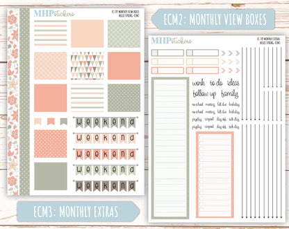 MARCH 2025 Monthly Kit Stickers for 7x9 Erin Condren Planners. "Hello Spring" || ECMHS