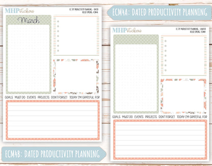 MARCH 2025 Monthly Kit Stickers for 7x9 Erin Condren Planners. "Hello Spring" || ECMHS