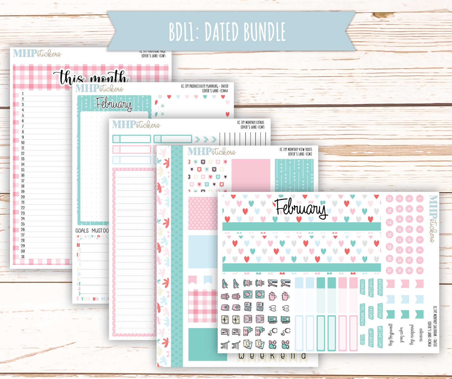 FEBRUARY 2025 Monthly Kit Stickers for 7x9 Erin Condren Planners. "Lover's Lane" || ECMLL