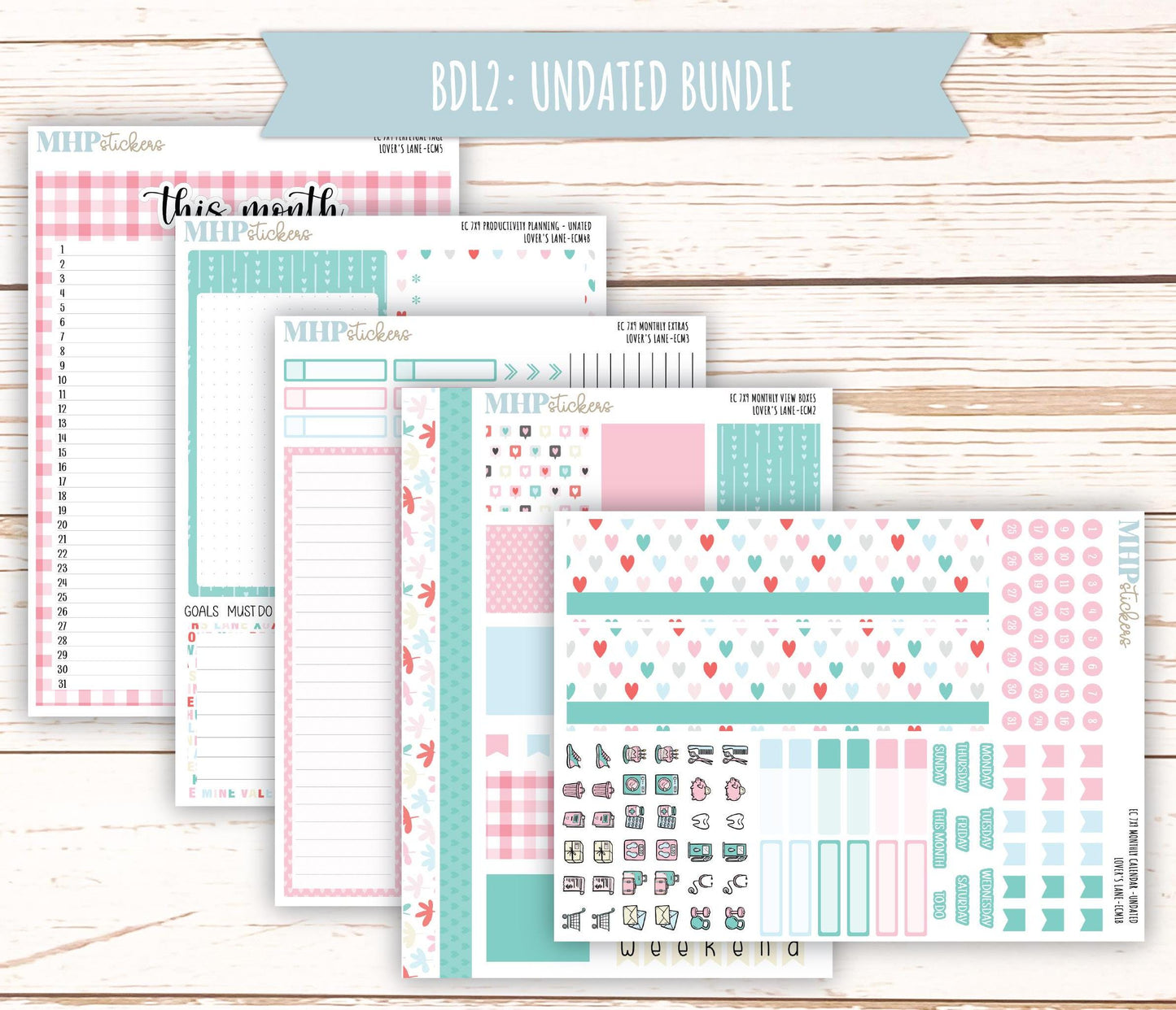 FEBRUARY 2025 Monthly Kit Stickers for 7x9 Erin Condren Planners. "Lover's Lane" || ECMLL