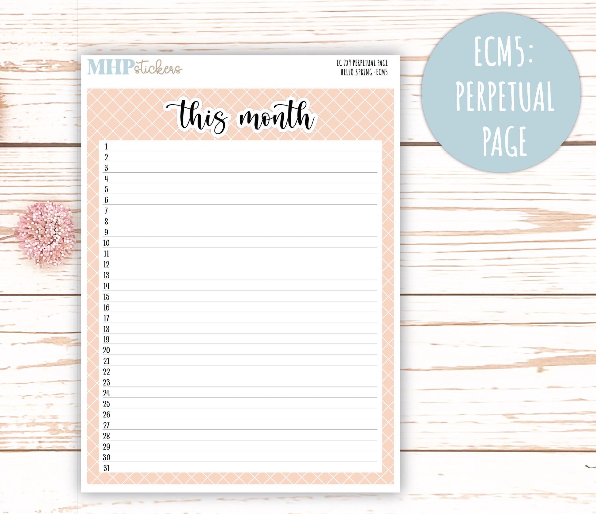 MARCH 2025 Monthly Kit Stickers for 7x9 Erin Condren Planners. "Hello Spring" || ECMHS