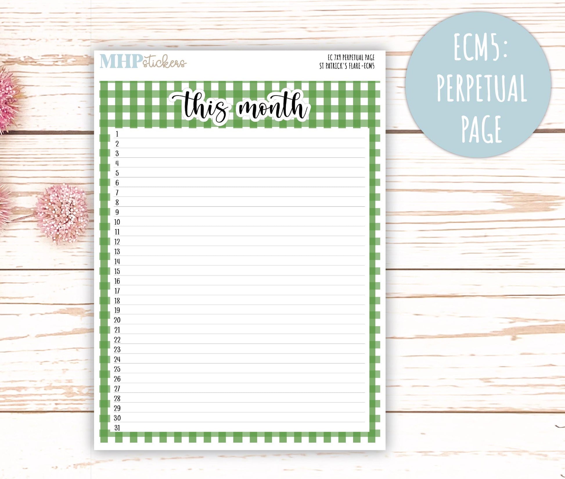 MARCH 2025 Monthly Kit Stickers for 7x9 Erin Condren Planners. "St Patrick's Flare" || ECMSPF