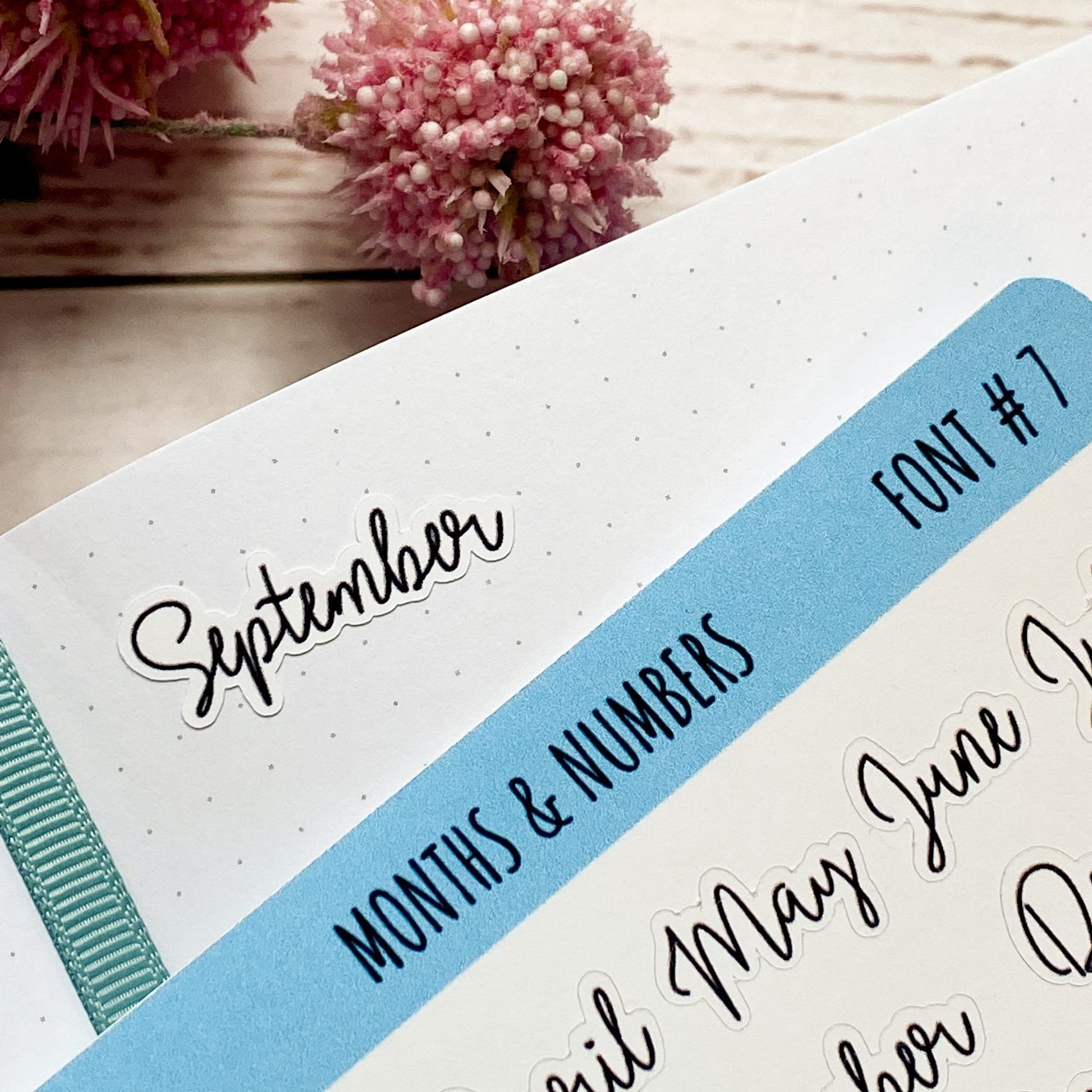 Months and Number Stickers for Planners, Organizers and Bullet Journals || T302