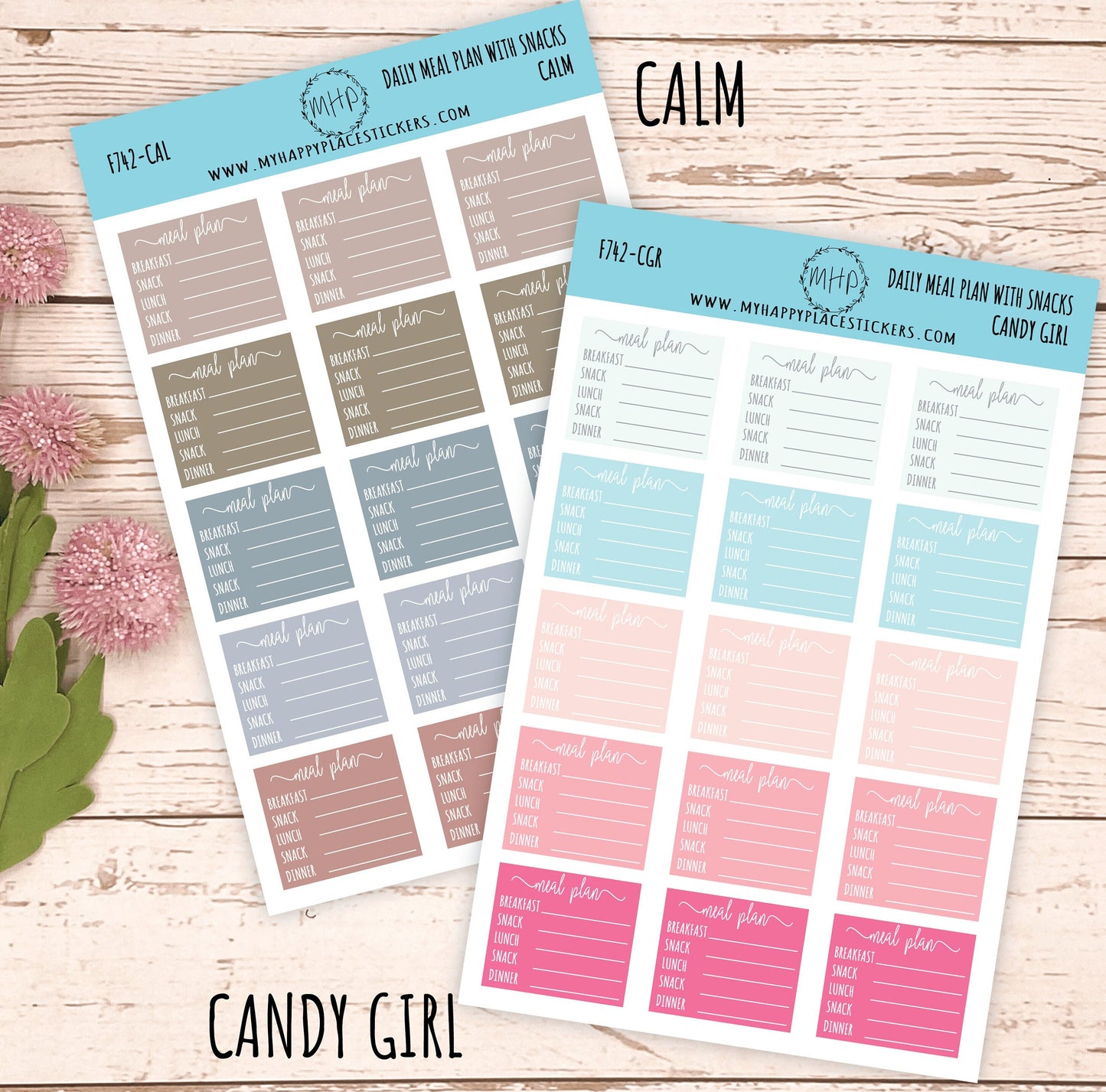 Daily Meal Planner with Snack. Stickers for Bullet Journals and Planners || F742